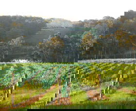 Tilba Valley Wines - South Australia Travel 0