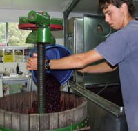 Fern Gully Winery - South Australia Travel