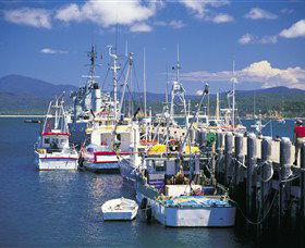 Snug Cove - South Australia Travel 0