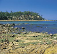 Aslings Beach - South Australia Travel