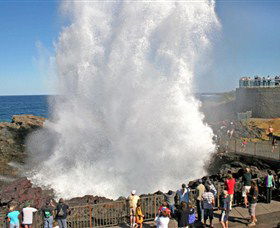 Kiama Blowhole - South Australia Travel 0