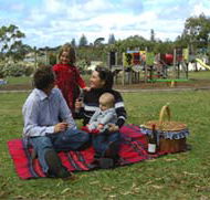 Blackbutt Forest Reserve - South Australia Travel