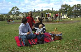Blackbutt Forest Reserve - South Australia Travel 0
