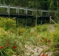 Eurobodalla Botanic Gardens - South Australia Travel