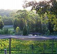 Lyrebird Ridge Organic Winery - South Australia Travel
