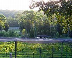 Lyrebird Ridge Organic Winery - South Australia Travel 0