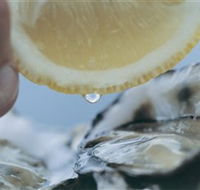 Pearly Oyster Bar and Farm - South Australia Travel