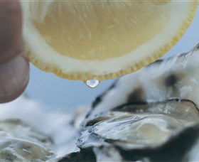 Pearly Oyster Bar And Farm - South Australia Travel 0
