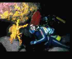 Solitary Islands Marine Park - South Australia Travel 0