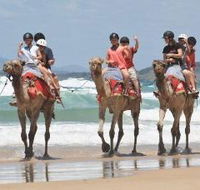 Camel Rides with Coffs Coast Camels - South Australia Travel