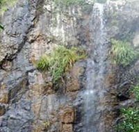 Wedding Bells Forest Drive - South Australia Travel