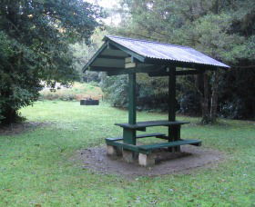 Pine Creek State Forest - South Australia Travel 0