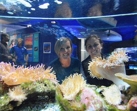 Solitary Islands Aquarium - South Australia Travel 0