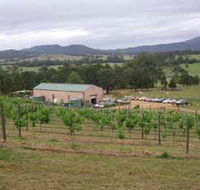 Villa d Esta Vineyard - South Australia Travel