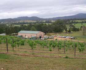 Villa D Esta Vineyard - South Australia Travel 0