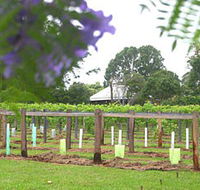 Douglas Vale Historic Homestead  Vineyard - South Australia Travel