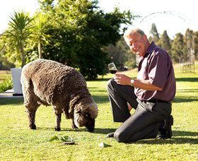 Moorebank Private Vineyard - South Australia Travel 2