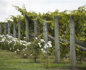 Lambert Vineyards Cellar Door - South Australia Travel 2