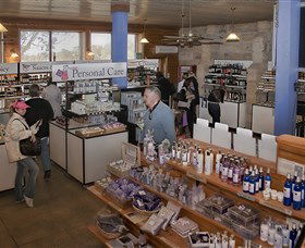 Pokolbin Estate Vineyard - South Australia Travel 2