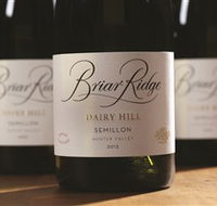 Briar Ridge Vineyard - South Australia Travel