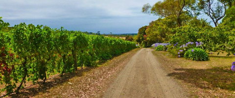 Merricks Estate - South Australia Travel 1