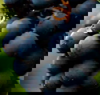 Swinging Bridge Estate - South Australia Travel