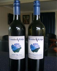 Tilbuster NSW South Australia Travel