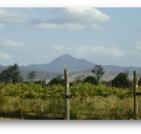 Ironbark Ridge Vineyard - South Australia Travel