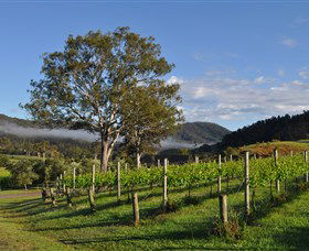 Sarabah Estate Vineyard - South Australia Travel 1
