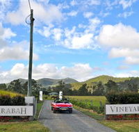 Sarabah Estate Vineyard - South Australia Travel