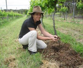 Twisted Gum Wines - South Australia Travel 2