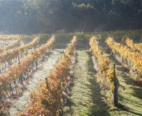 Twisted Gum Wines - South Australia Travel 1