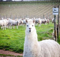 Gemtree Vineyards Cellar Door - South Australia Travel