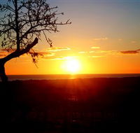 Rocky Ridge Vineyard and Cellar Door - South Australia Travel