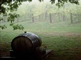 Arranmore Wines - South Australia Travel 2