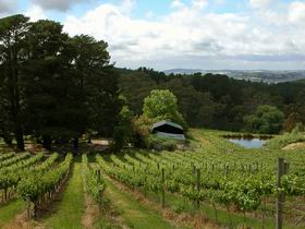 Arranmore Wines - South Australia Travel 0