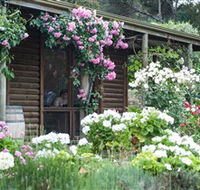 Lavina Wines - South Australia Travel