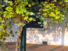 Wolseley SA South Australia Travel