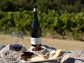Cape Jaffa Wines - South Australia Travel 3