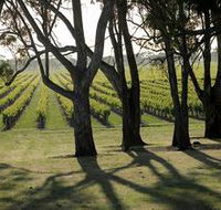 Henry's Drive Vignerons - South Australia Travel