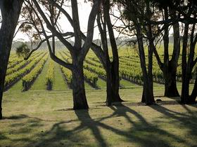 Henry's Drive Vignerons - South Australia Travel 0