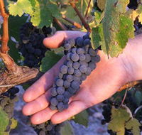 Eagles Rise Wine - South Australia Travel
