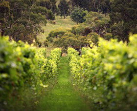 Macedon VIC South Australia Travel