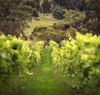 Merindoc Cafe and Cellar Door - South Australia Travel