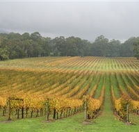 Boat O'Craigo Wines - South Australia Travel