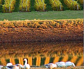 Pipers Brook TAS South Australia Travel