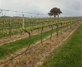 Indigo Vineyard - South Australia Travel 1