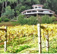 Peveril Vineyard/Beechy Berries - South Australia Travel