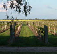 Water Wheel Vineyards - South Australia Travel