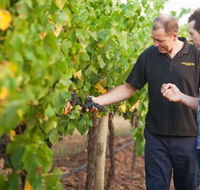 Fratin Brothers Vineyard - South Australia Travel